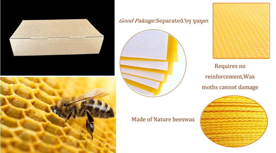 ea7e821d-e372-4a49-9637-830ee8317454